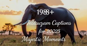 198+ Elephant Instagram Captions for 2025: Majestic Moments