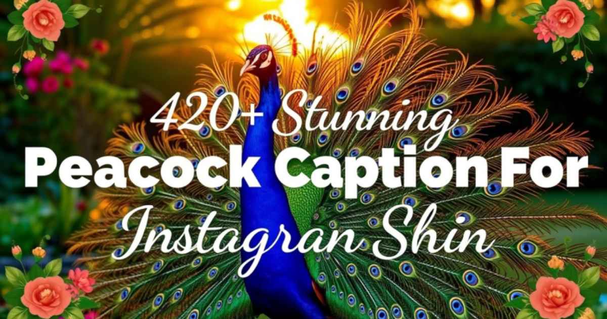 420+ Stunning Peacock Captions For Instagram Shine