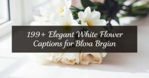 149+ Elegant White Flower Captions for Instagram: Bloom Bright