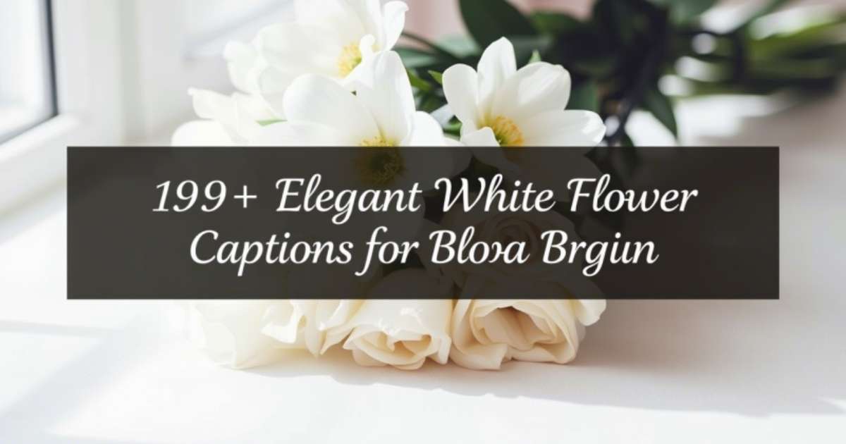 149+ Elegant White Flower Captions for Instagram: Bloom Bright