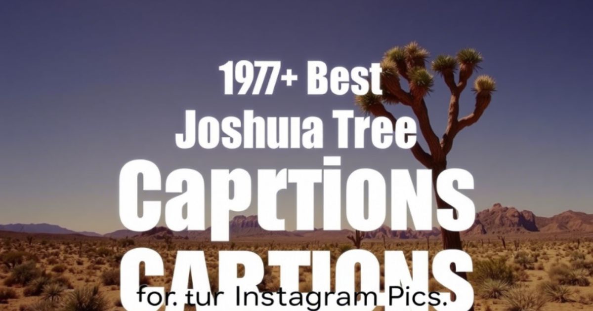 197+ Best Joshua Tree Captions for Your 2025 Instagram Pics
