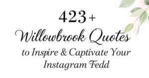 423+ Willowbrook Quotes to Inspire & Captivate Your Instagram Feed